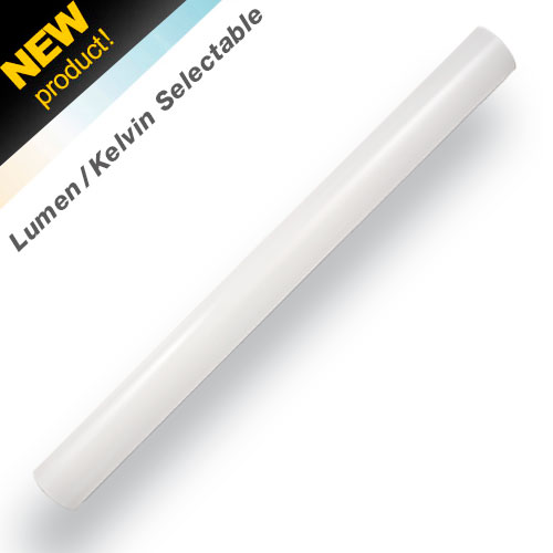 SW-LKFS - Lumen and Kelvin Field Selectable Stairwell Luminaire